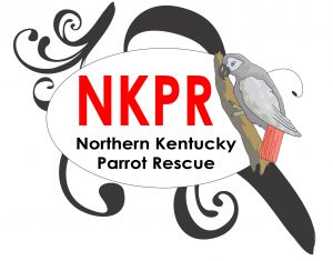 Northern Kentucky Parrot Rescue